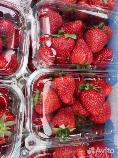 Клубника вкусная