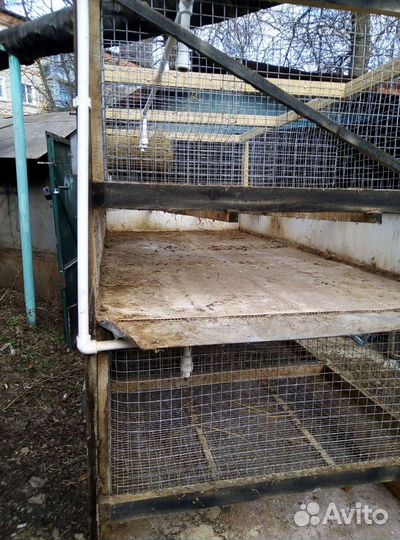 Клетка для кроликов