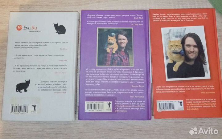 Серия книг про кота Боба