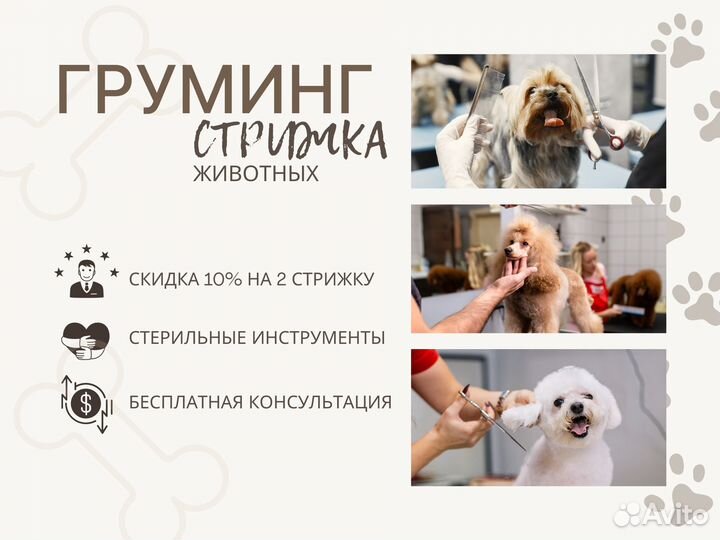 Груминг стрижка собак и кошек