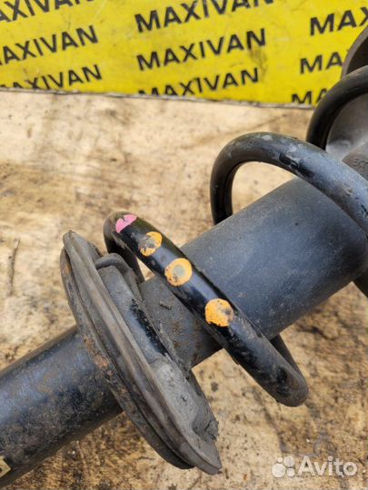 Стойка подвески передняя правая Audi A4 B8 2010