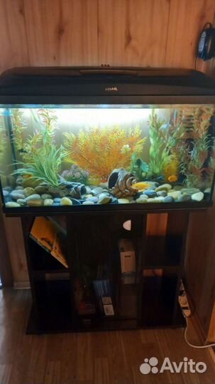 Аквариумный комплекс Aquael 112 л