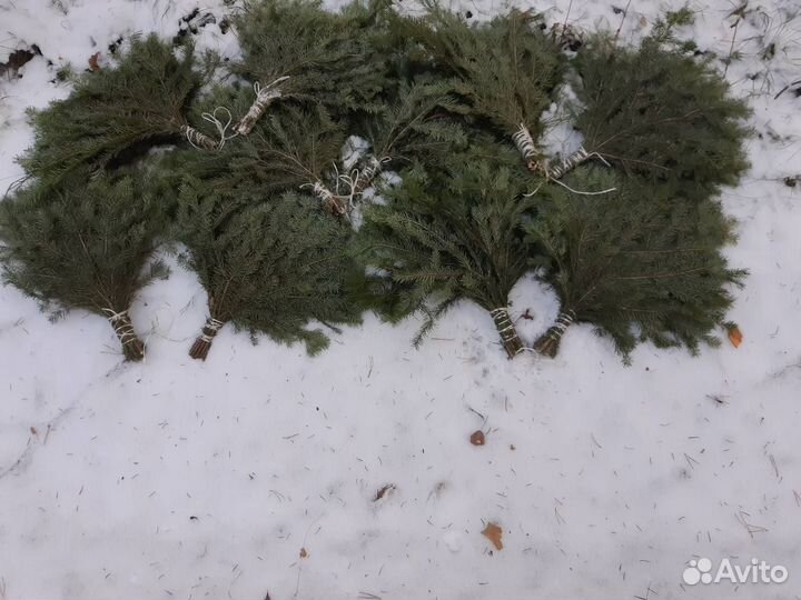 Веники из пихты