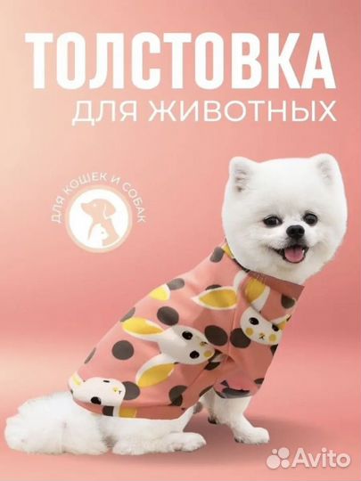 Толстовка для животных