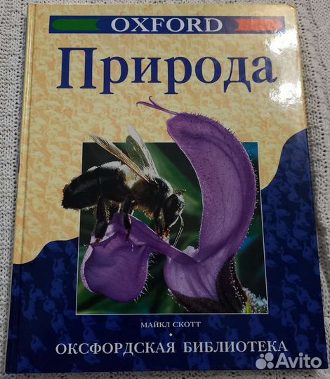 Природа Оксфордская библиотека Майкл Скотт