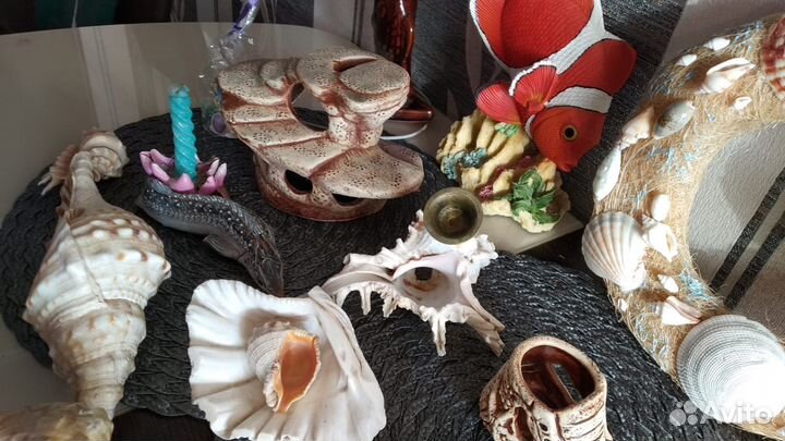 Морские ракушки раковины и коралы