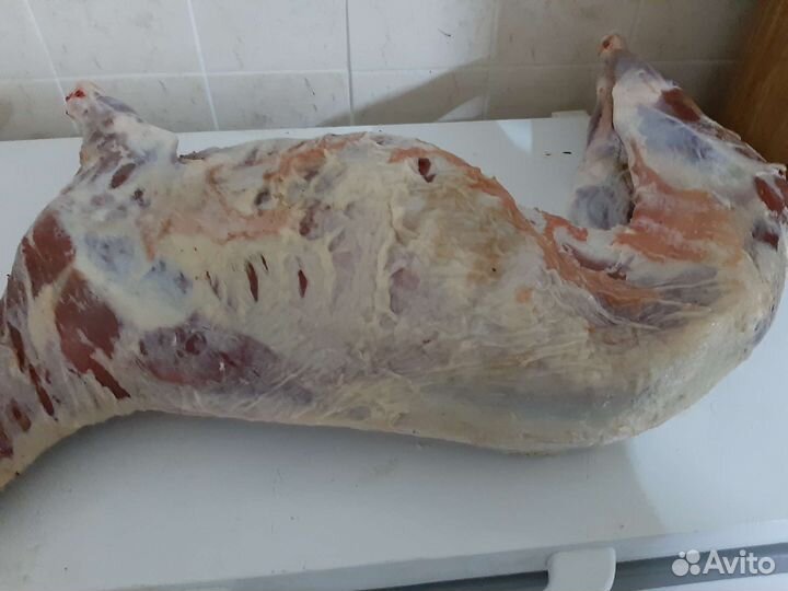 Мясо козлятина