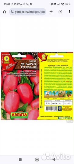 Рассада помидор