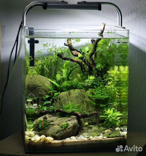 Аквариум,обслуживание