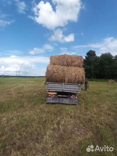 Сено в рулонах