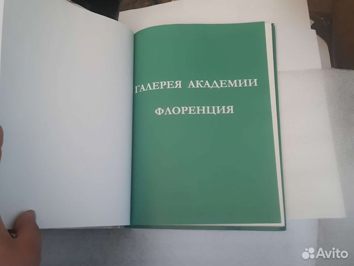 Альбом Галерея Академии (Флоренция)