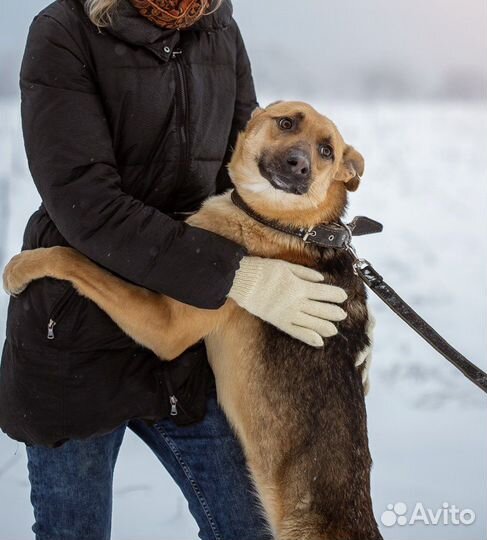 Локи очень одиноко в приюте