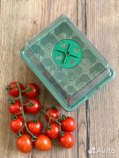 Мини парник для рассады