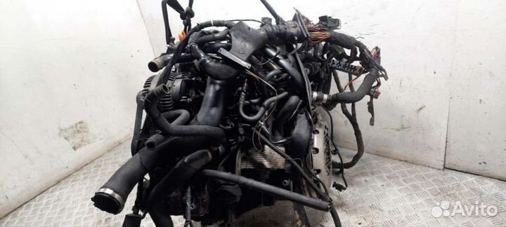 Проводка двигателя AudiA6 C6 (S6,RS6) 2006