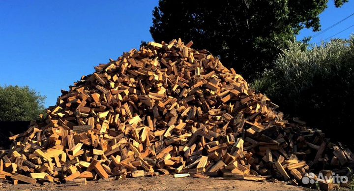 Дрова осина от производителя