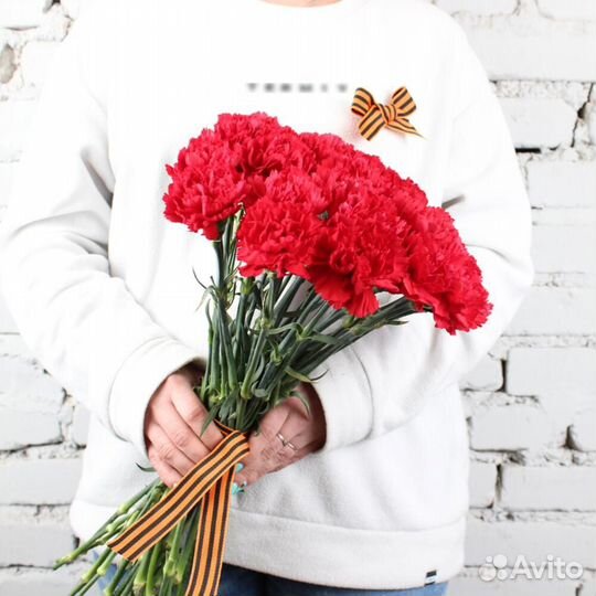 Гвоздика, цветы гвоздики, Москва