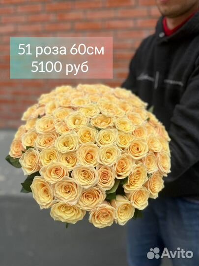 51 роза из свежей Голландской розы с доставкой