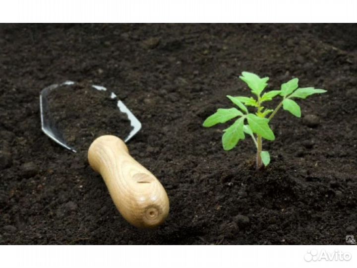 Грунт Ярославль