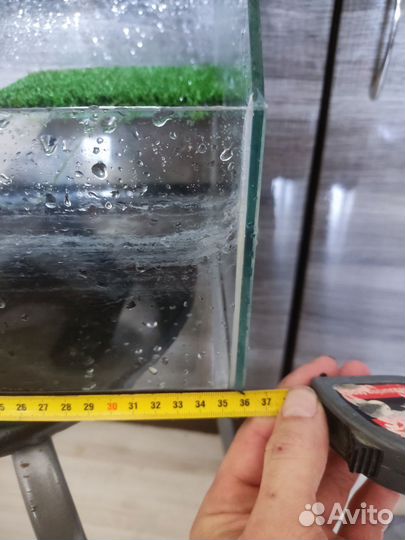 Аквариум для красноухой черепахи