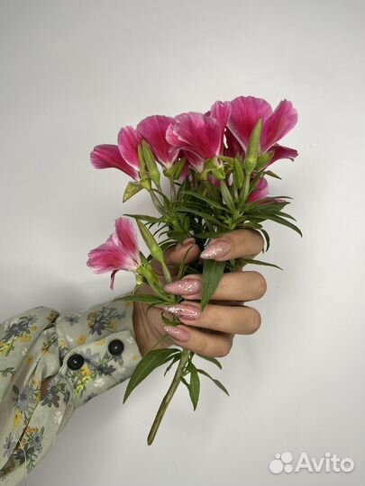 Мастер маникюра