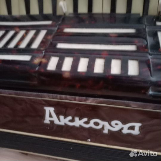 Аккордеон