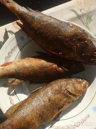 Копчёная,сушёная рыба