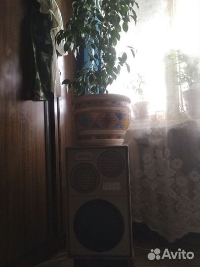 Система акустическая 25ас-109