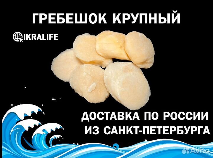 Гребешок крупный для ИП. Доставка по РФ