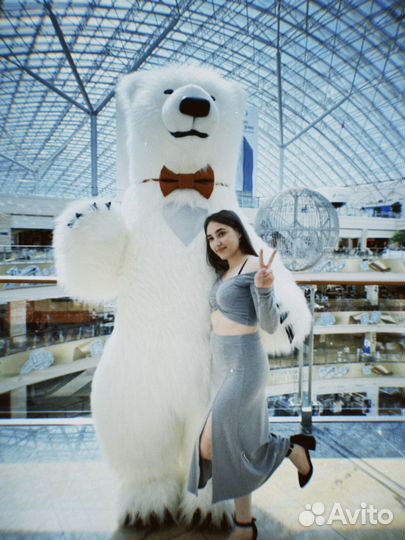 Поздравление белого медведя