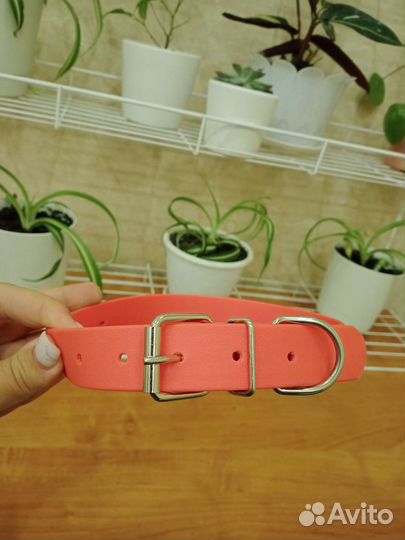 Ошейник из биотана