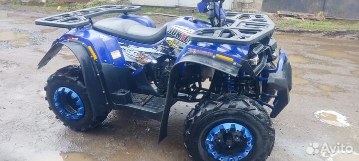Avantis Hunter 200 Big Premium