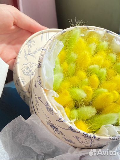 Набор «Цитрус»