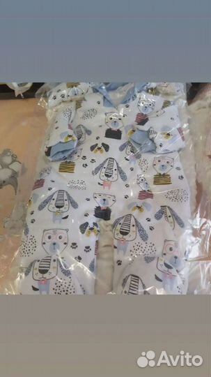 Комплект на выписку осень-весна