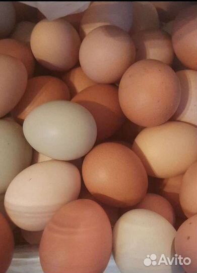 Козье молоко,эко продукты