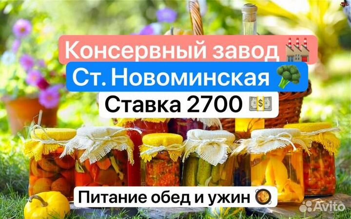 Разнорабочие вахта на лето 15 смен завод солений