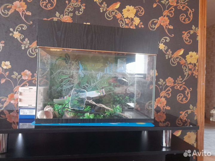 Аквариум