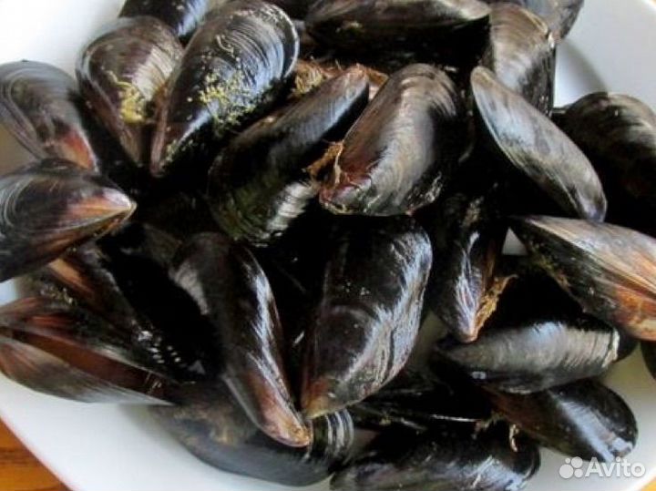 Мидии черноморские