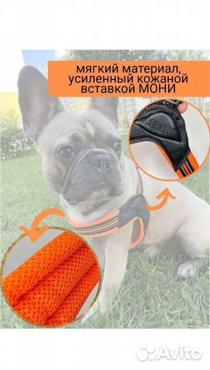 Анатомическая шлейка для собак Мони