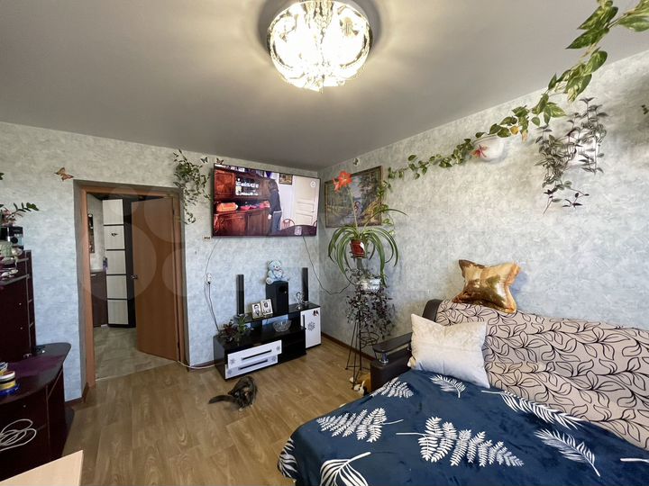 1-к. квартира, 33,1 м², 5/5 эт.