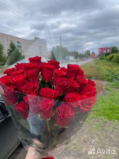 Цветы розы букет