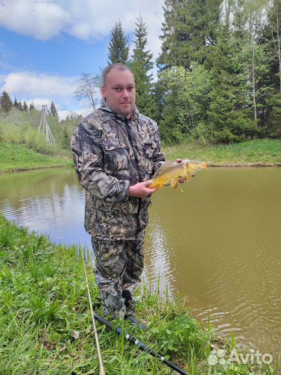 Платная рыбалка