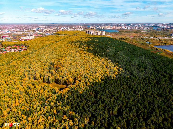 3-к. квартира, 77,2 м², 22/23 эт.