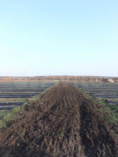 Участок 2,8 сот. (СНТ, ДНП)