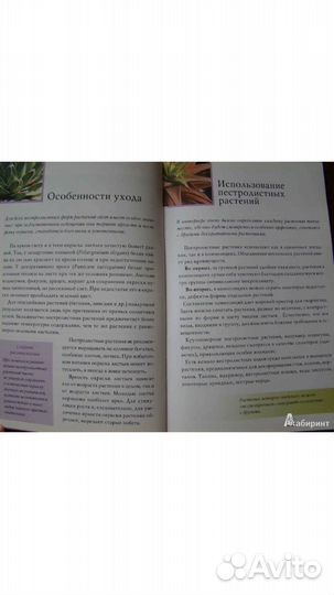 120 лучших пестролистых комнатных растений