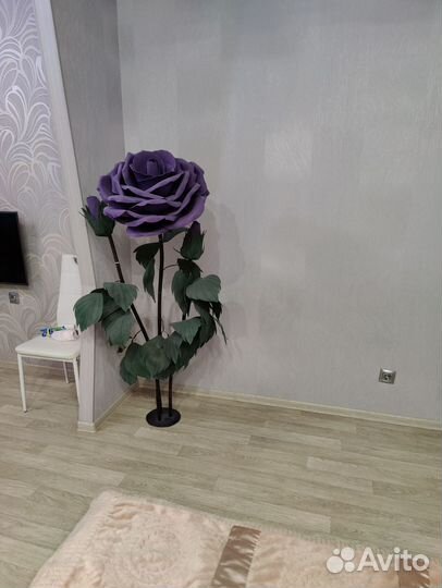 Ростовой цветок-Роза