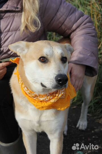 Ждёт свою семью