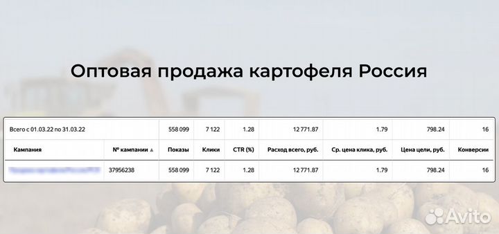 Директолог