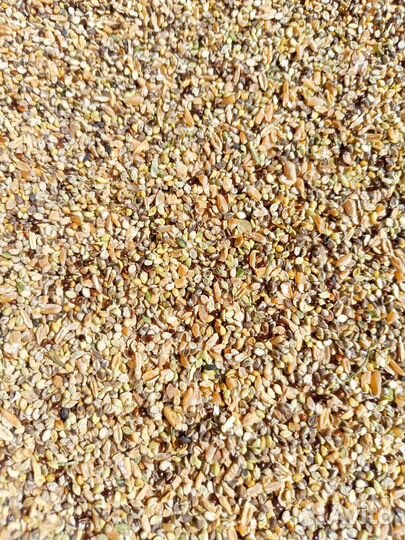 Зерно отходы 4,5