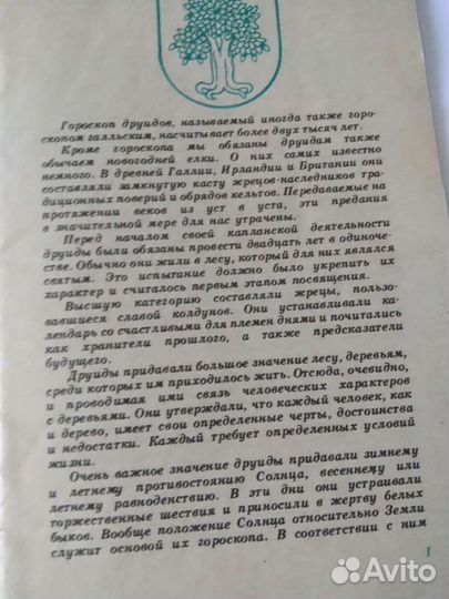 Гороскоп Друидов