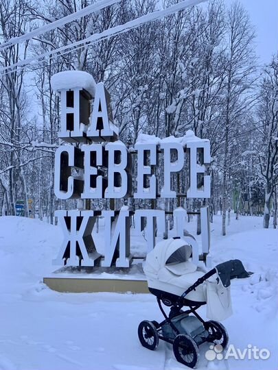Коляска 2 в 1 aroteam cocoline